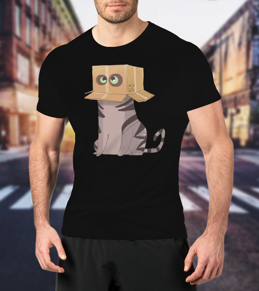 Cat In The Box With Big Eyes Wearing Cardboard Hat T-Shirt