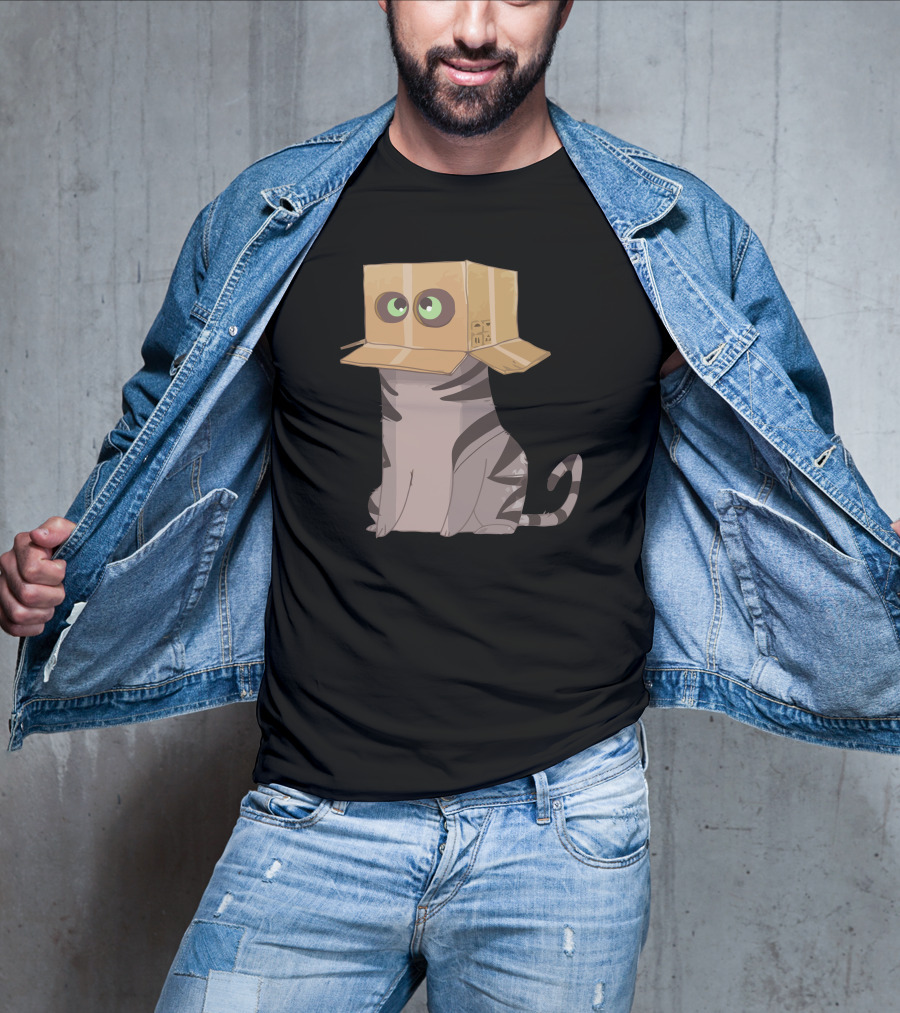 Cat In The Box With Big Eyes Wearing Cardboard Hat T-Shirt