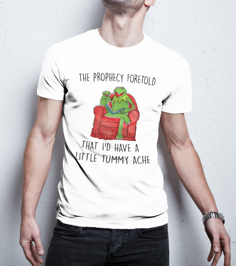 The Prophecy Foretold That I'd Have A Little Tummy Ache - Frog Reading On Red Armchair T-Shirt