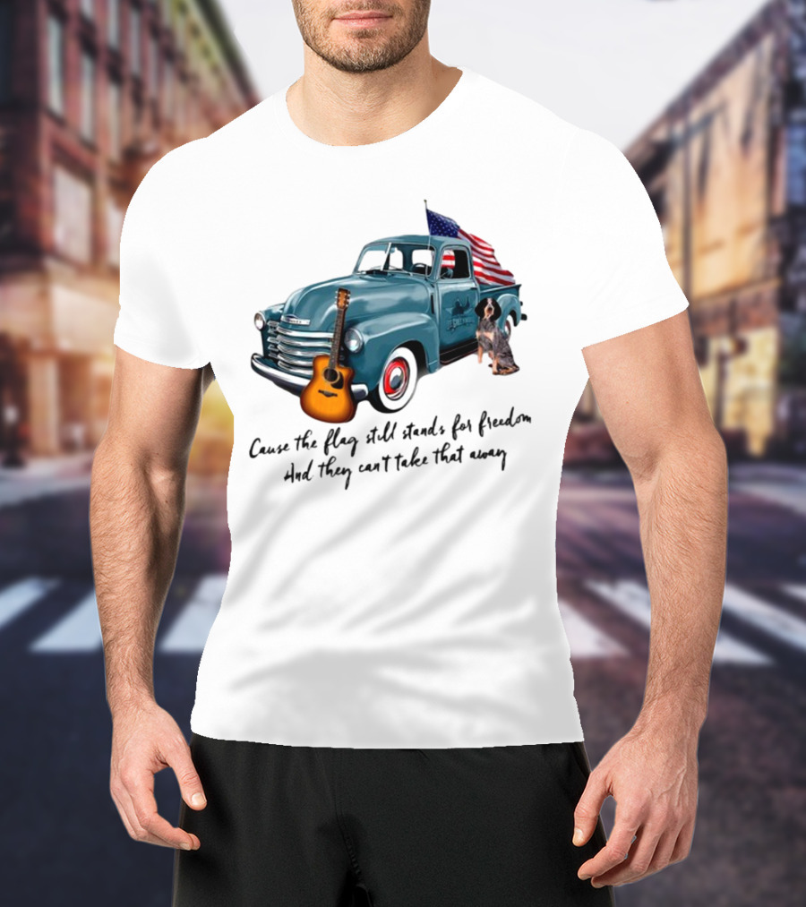 Cause The Flag Still Stands For Freedom And They Can't Take That Away Vintage Truck Guitar Dog Patriotism T-Shirt