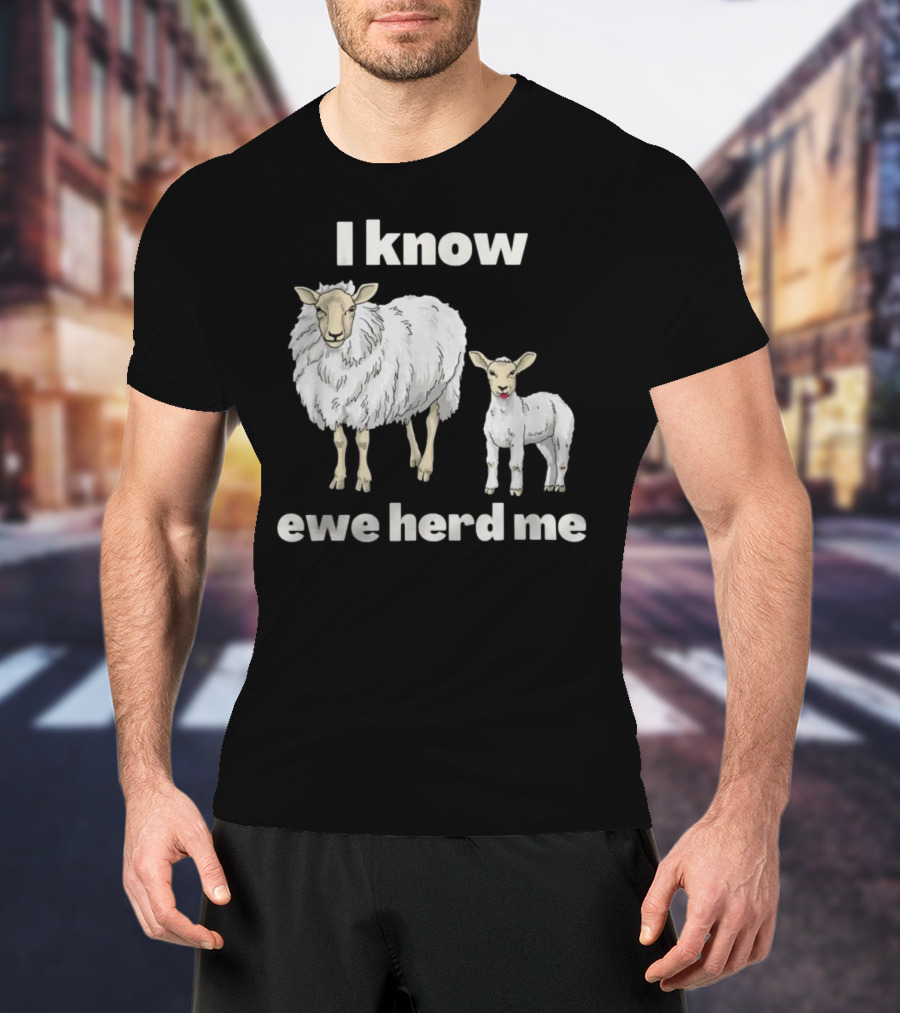 I Know Ewe Herd Me Funny Sheep Farmer Fathers Day Dad Jokes T-Shirt