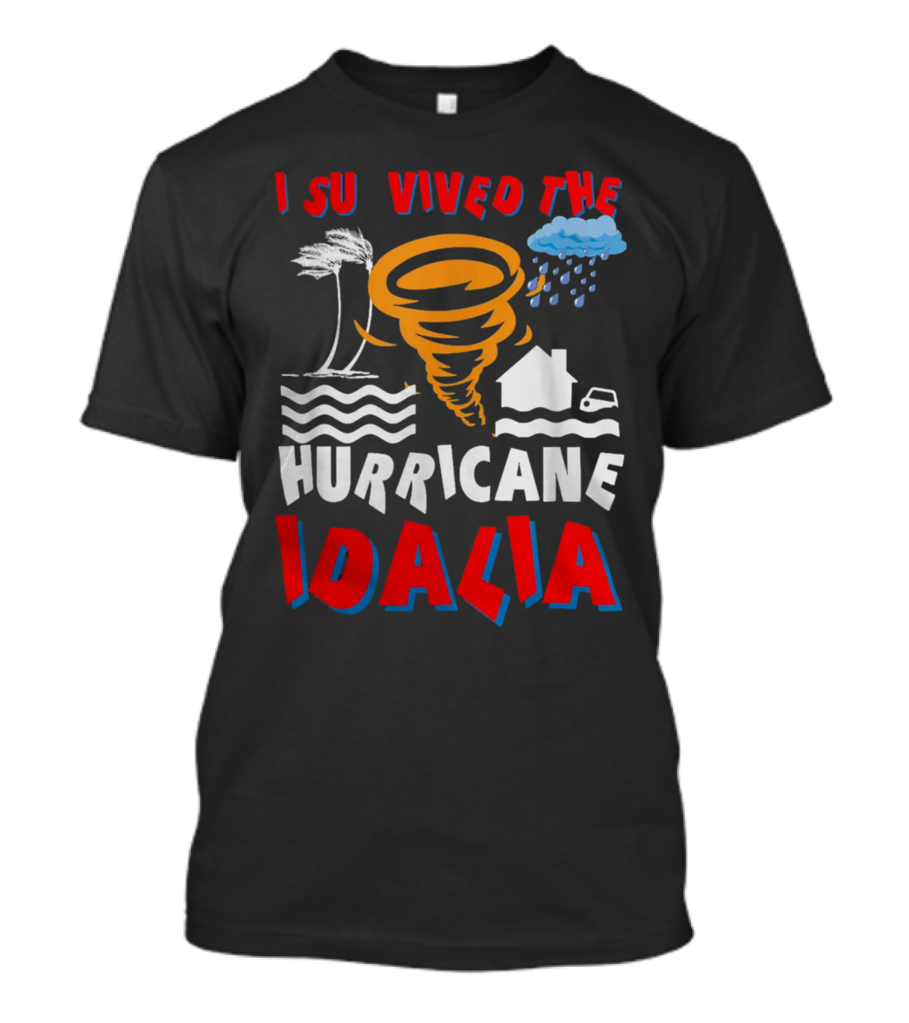 I Survived The Hurricane Idalia Tornado Palm Trees Rain House Car Waves T-Shirt
