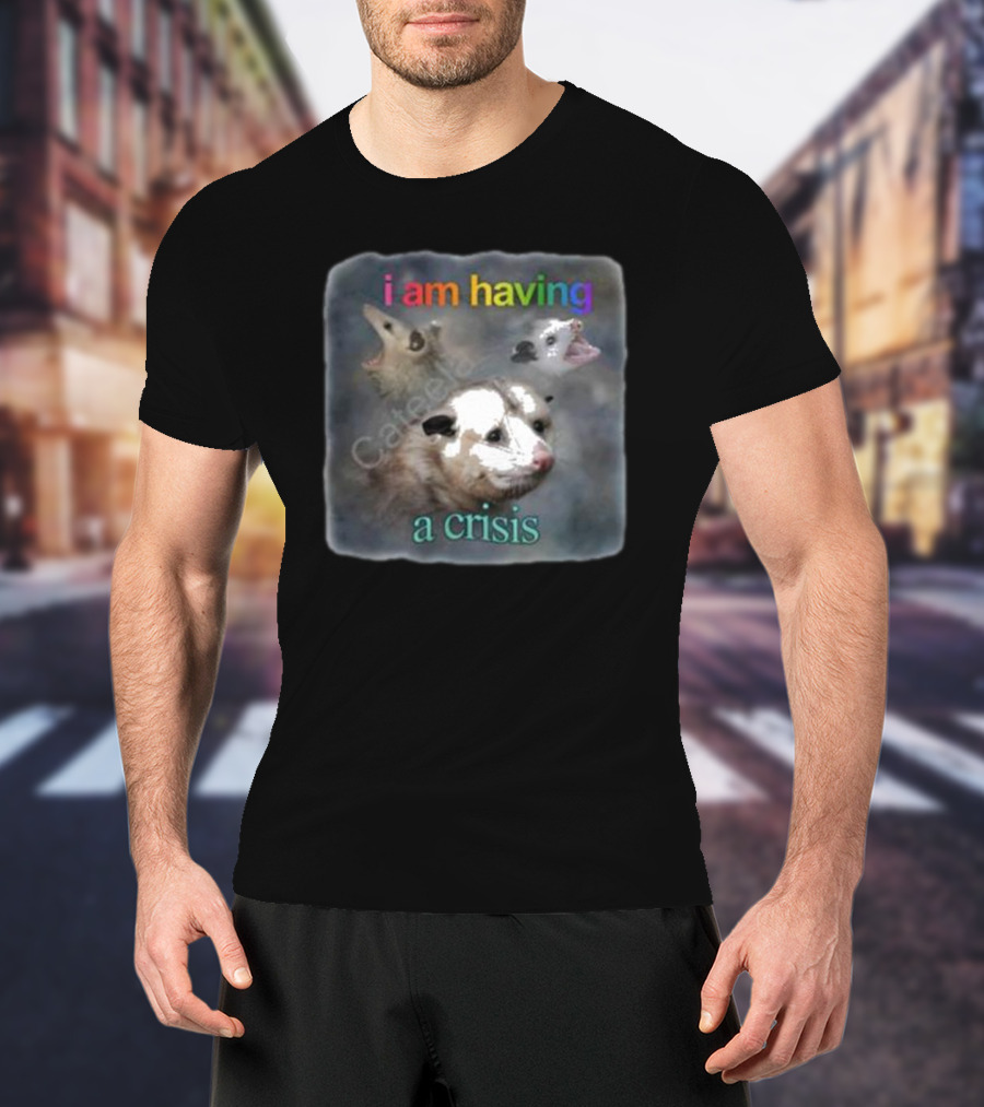 Snazzyseagull I Am Having A Crisis Possum Multicolored Text Mood T-Shirt