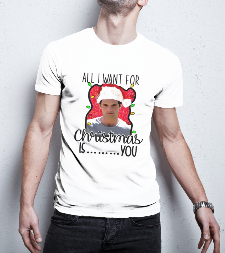 Joe Goldberg Santa Hat All I Want For Christmas Is You Christmas Lights T-Shirt