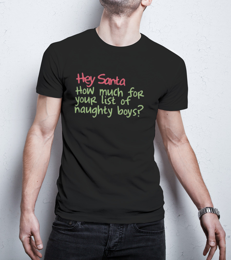 Hey Santa How Much For Your List Of Naughty Boys T-Shirt