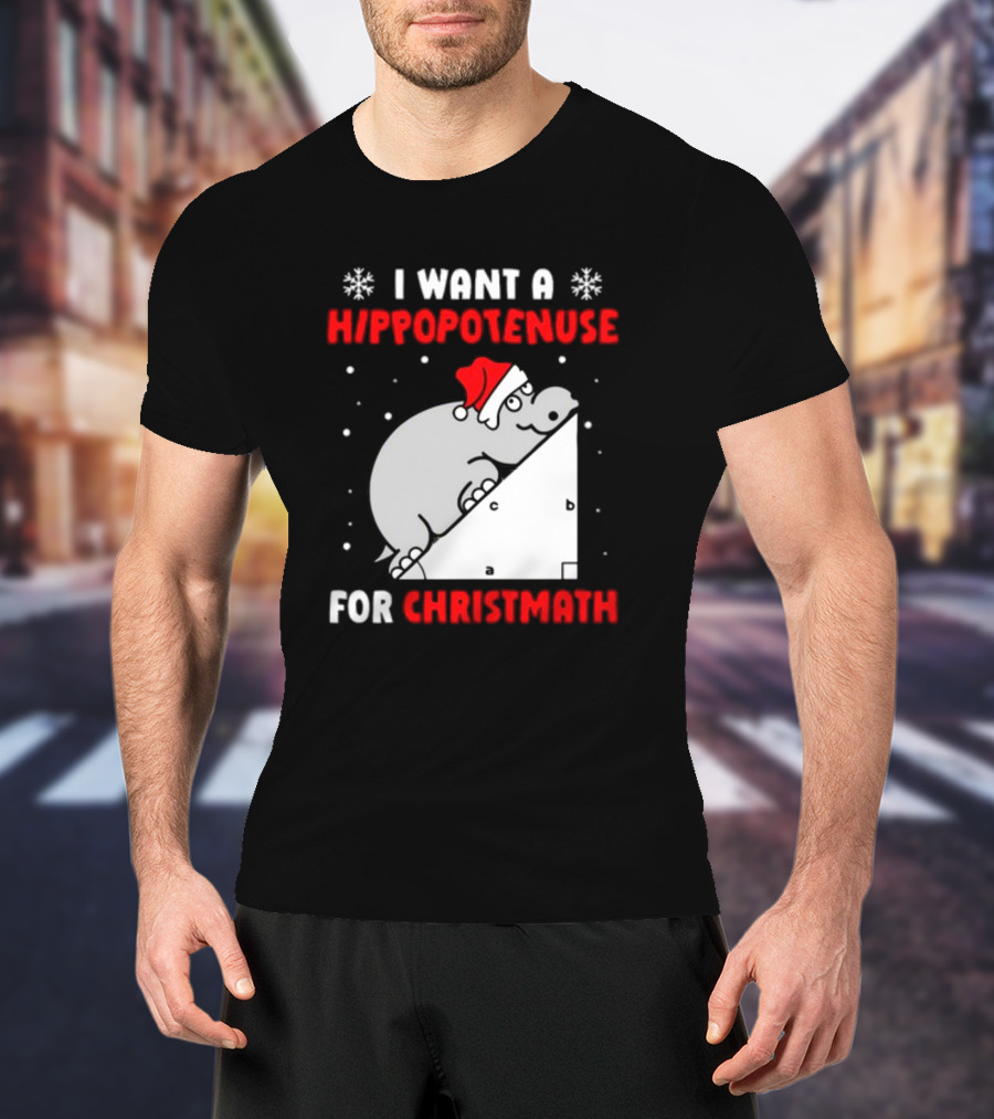 I Want A Hippopotenuse For Christmath Santa Hippo Geometry T-Shirt