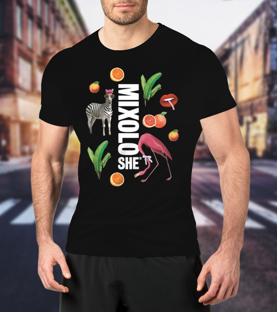 Mixoloshe Zebra Flamingo Lips With Fruits And Leaves T-Shirt