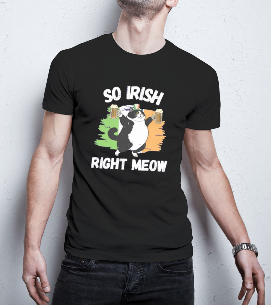 So Irish Right Meow Cat Holding Beer With Irish Flag In Background T-Shirt