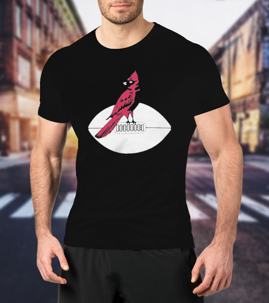Arizona Cardinals Vintage Cardinal On Football T-Shirt