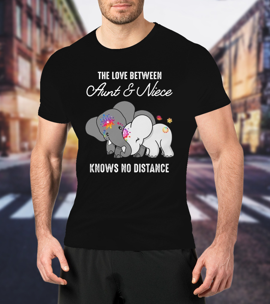 The Love Between Aunt And Niece Knows No Distance Elephants With Colorful Flowers T-Shirt
