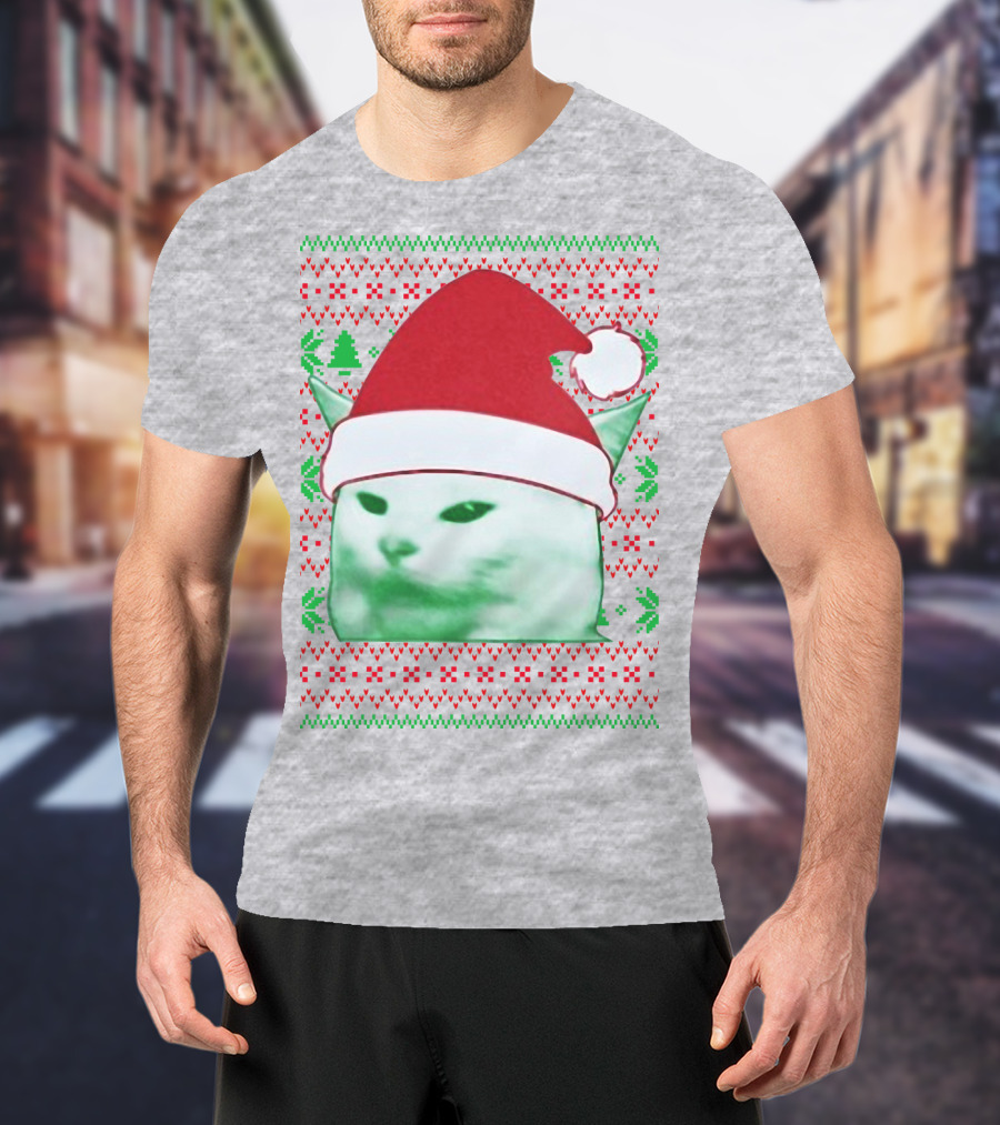 Santa Hat Cat Meme Christmas Pattern Raglan T-Shirt