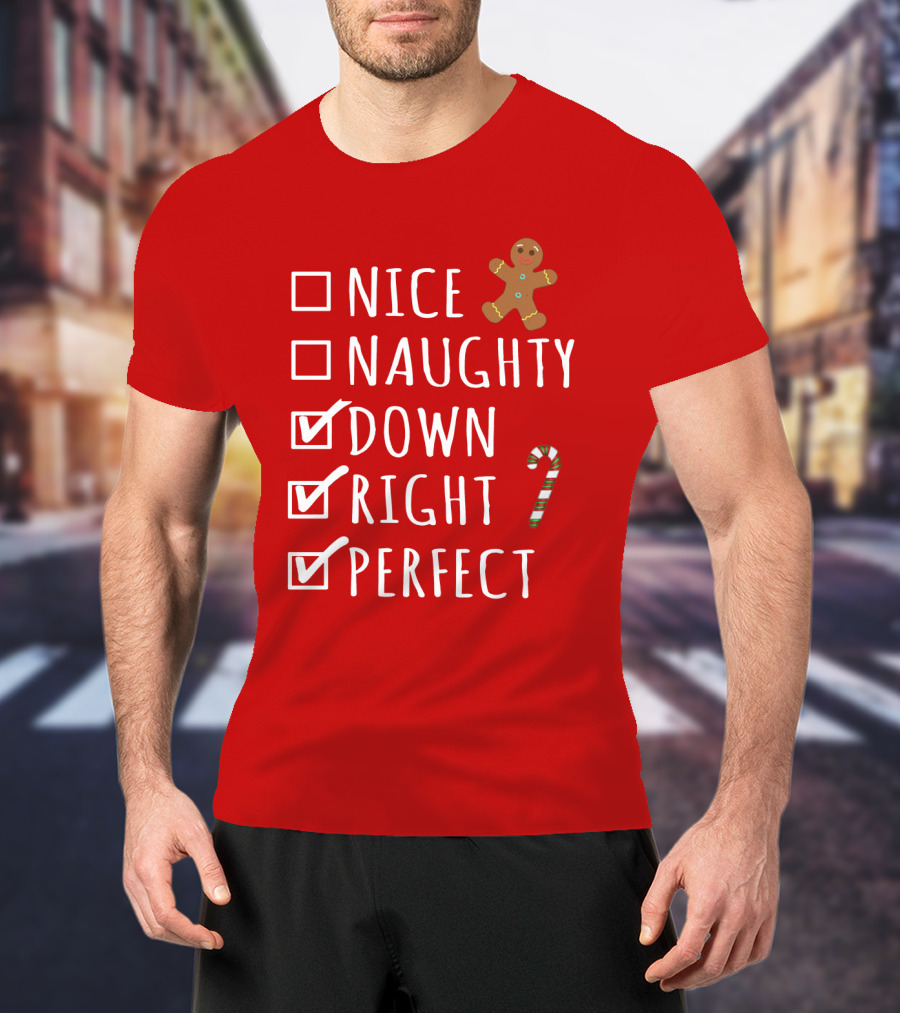 Nice Naughty Down Right Perfect Gingerbread Candy Cane Holiday Checklist T-Shirt