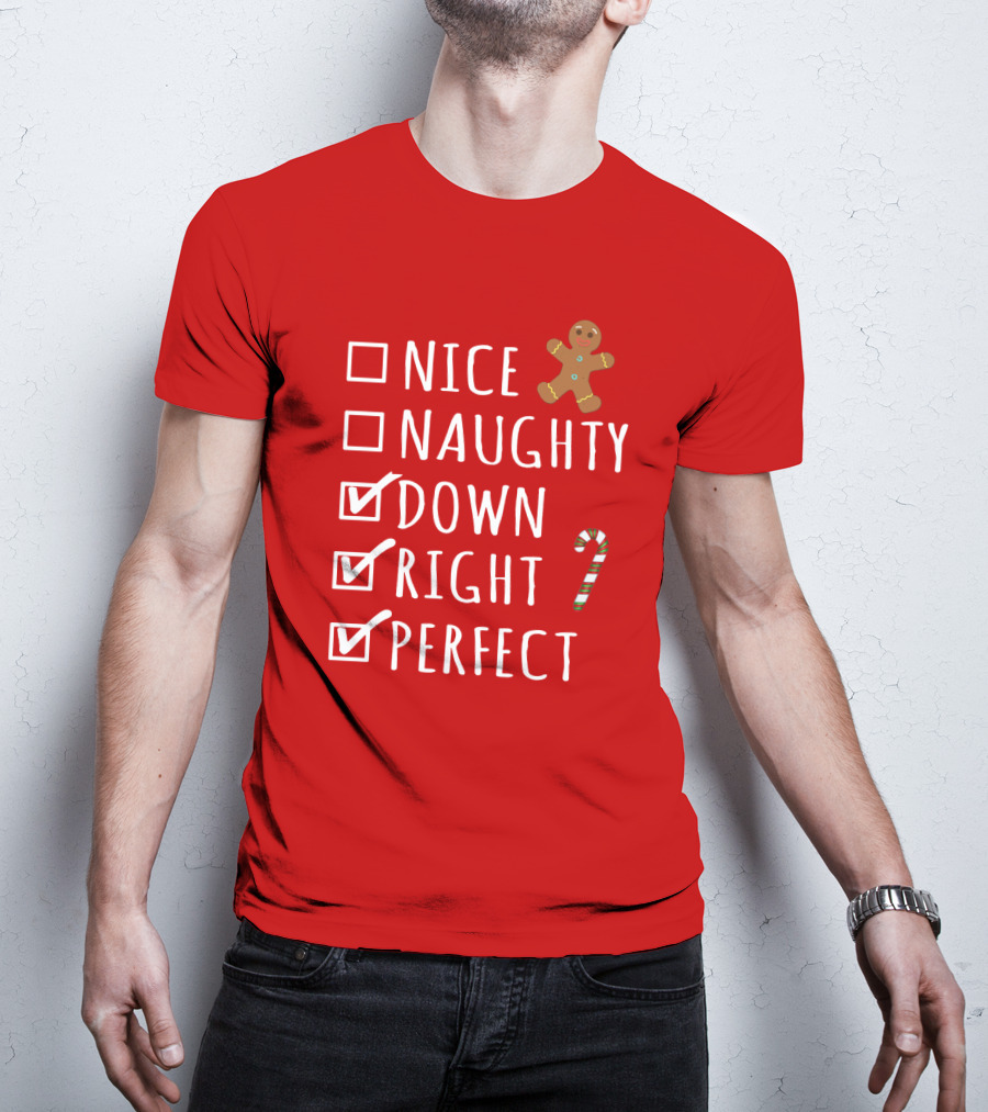 Nice Naughty Down Right Perfect Gingerbread Candy Cane Holiday Checklist T-Shirt