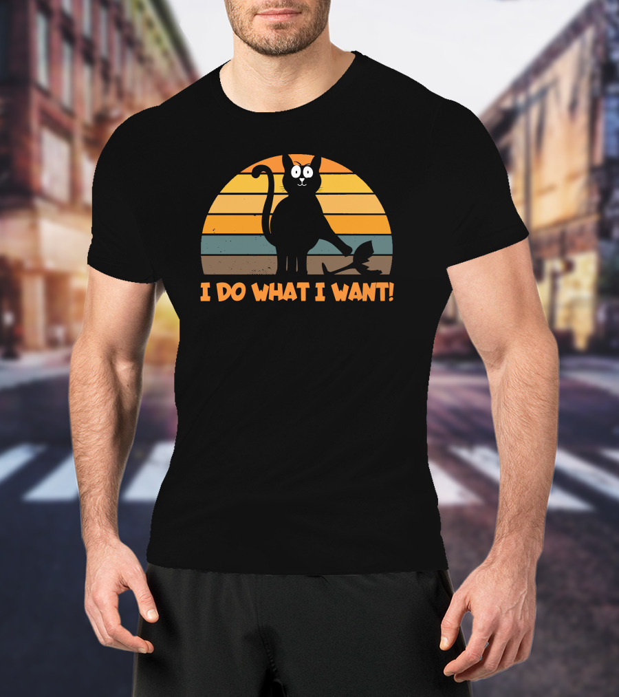 Naughty Cat Retro Sunset I Do What I Want T-Shirt