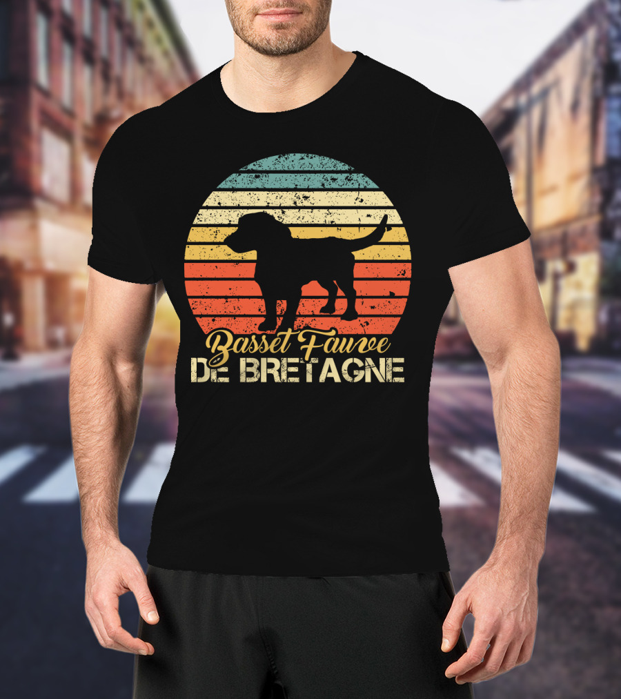 Retro Stripes Basset Fauve De Bretagne Silhouette Vintage T-Shirt