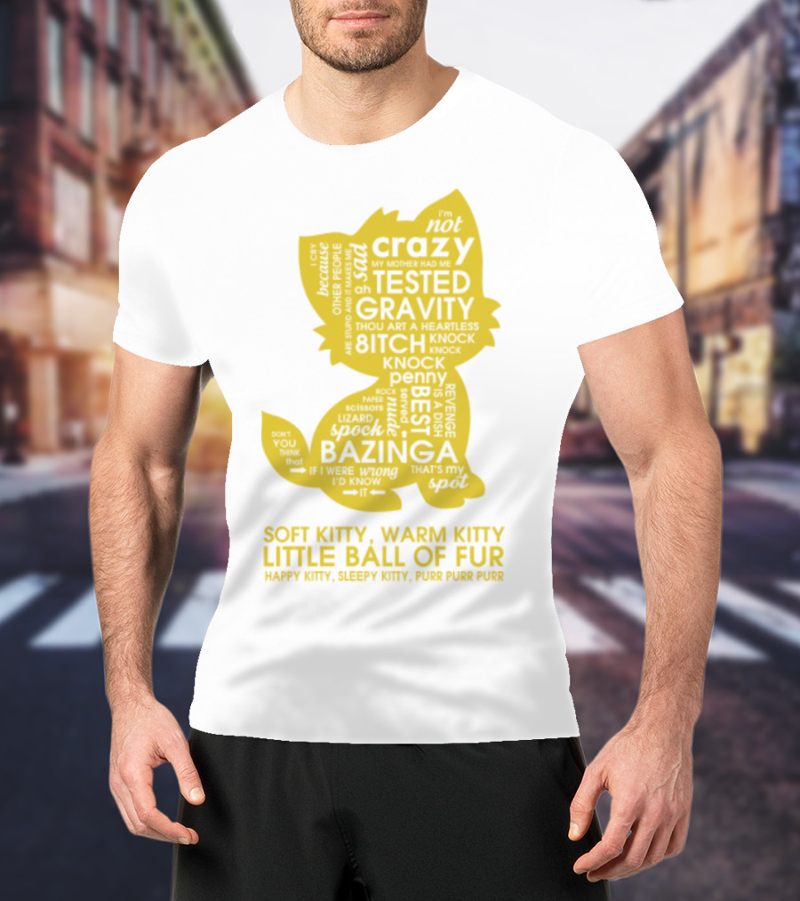 Soft Kitty, Warm Kitty, Crazy Kitty, Tested Gravity, Bazinga Little Ball Of Fur T-Shirt
