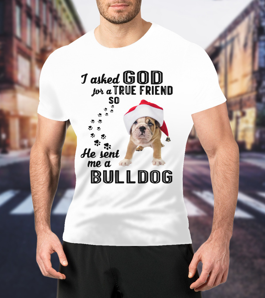 I Asked God For A True Friend So He Sent Me A Christmas Bulldog T-Shirt