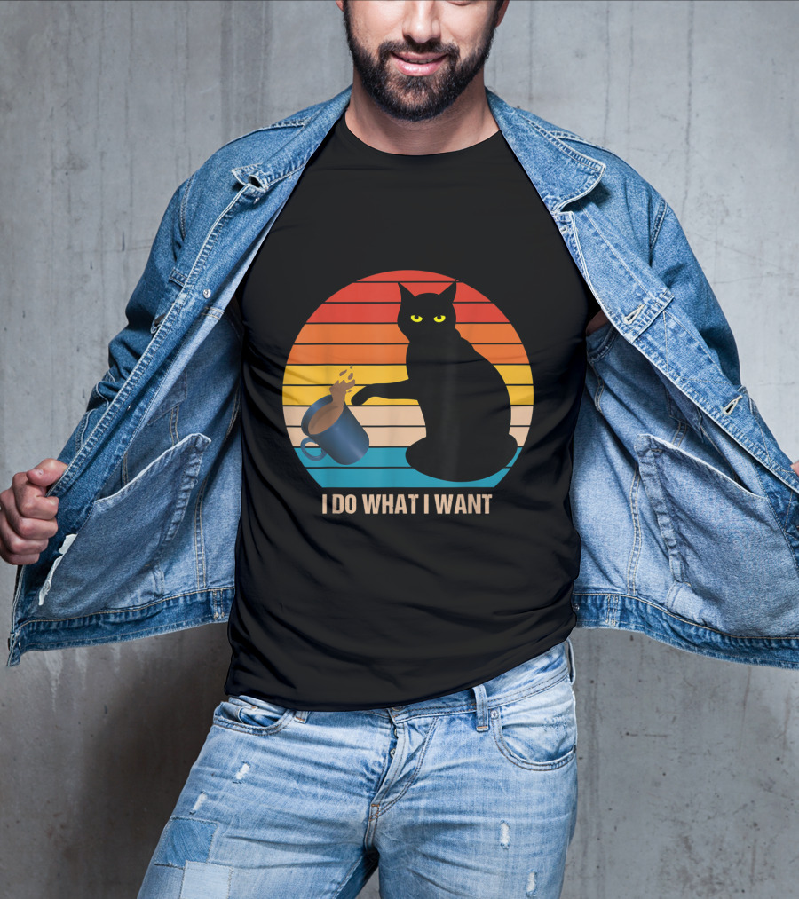 Funny Vintage Cat Do What I Want Cat Lover Retro Sunset T-Shirt