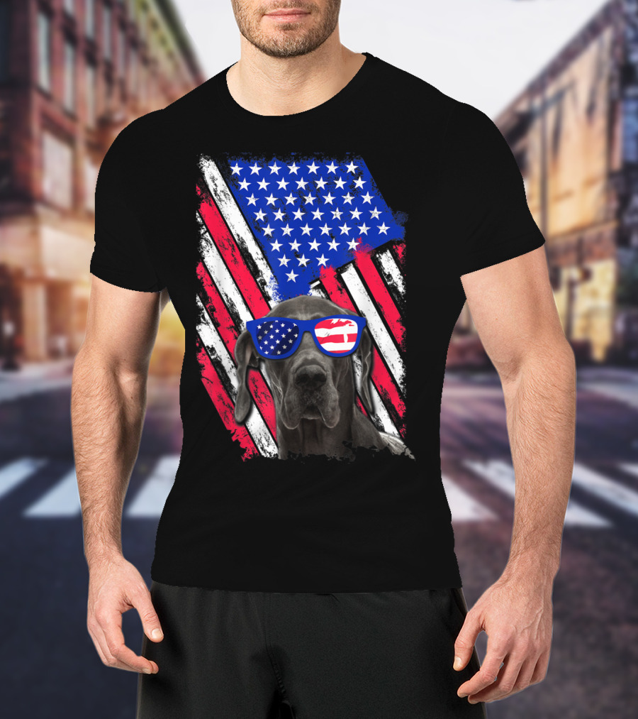 Vintage Distressed Great Dane With American USA Flag Sunglasses T-Shirt