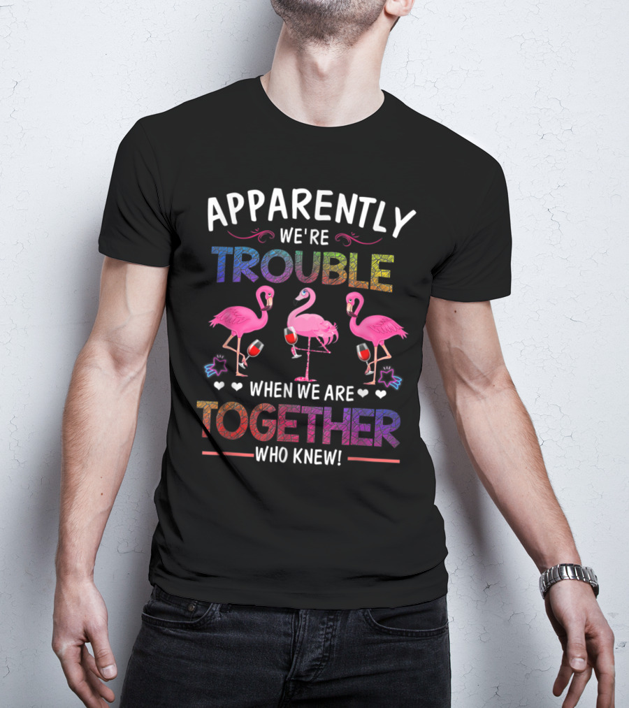 Apparently We're Trouble When We Are Together Who Knew Flamingo Wine Glass Party T-Shirt