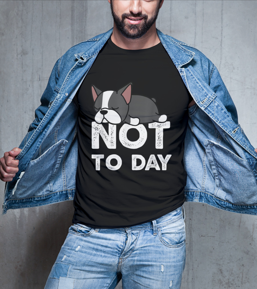 Nope Not Today Lazy Boston Terrier Not To Day T-Shirt