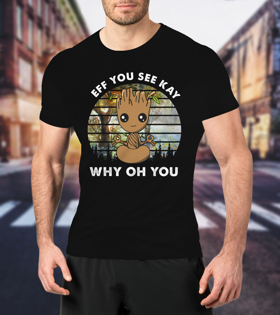 Eff You See Kay Why Oh You Today T-Shirt