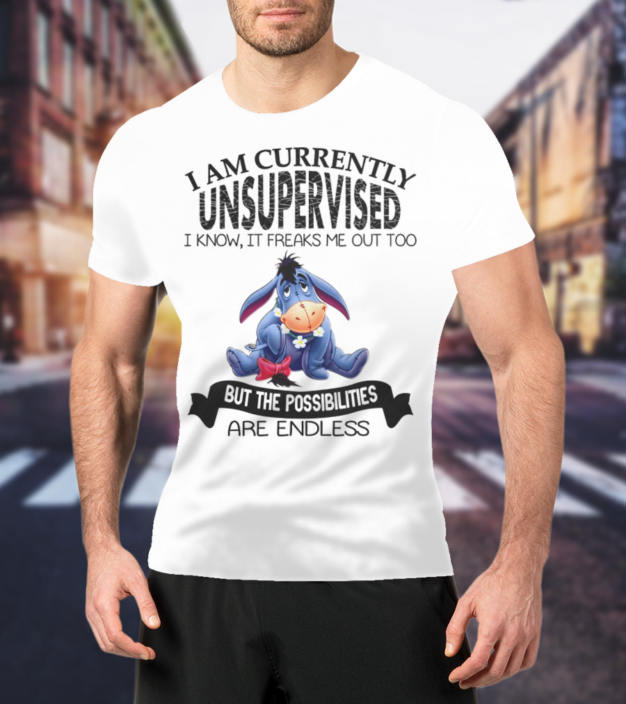 Eeyore Currently Unsupervised I Know It Freaks Me Out Too But The Possibilities Are Endless T-Shirt