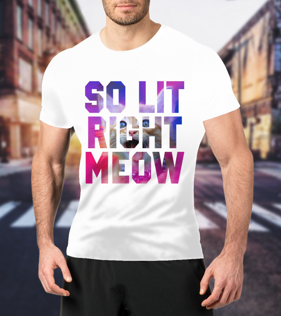 SO LIT RIGHT MEOW Cat Typography T-Shirt