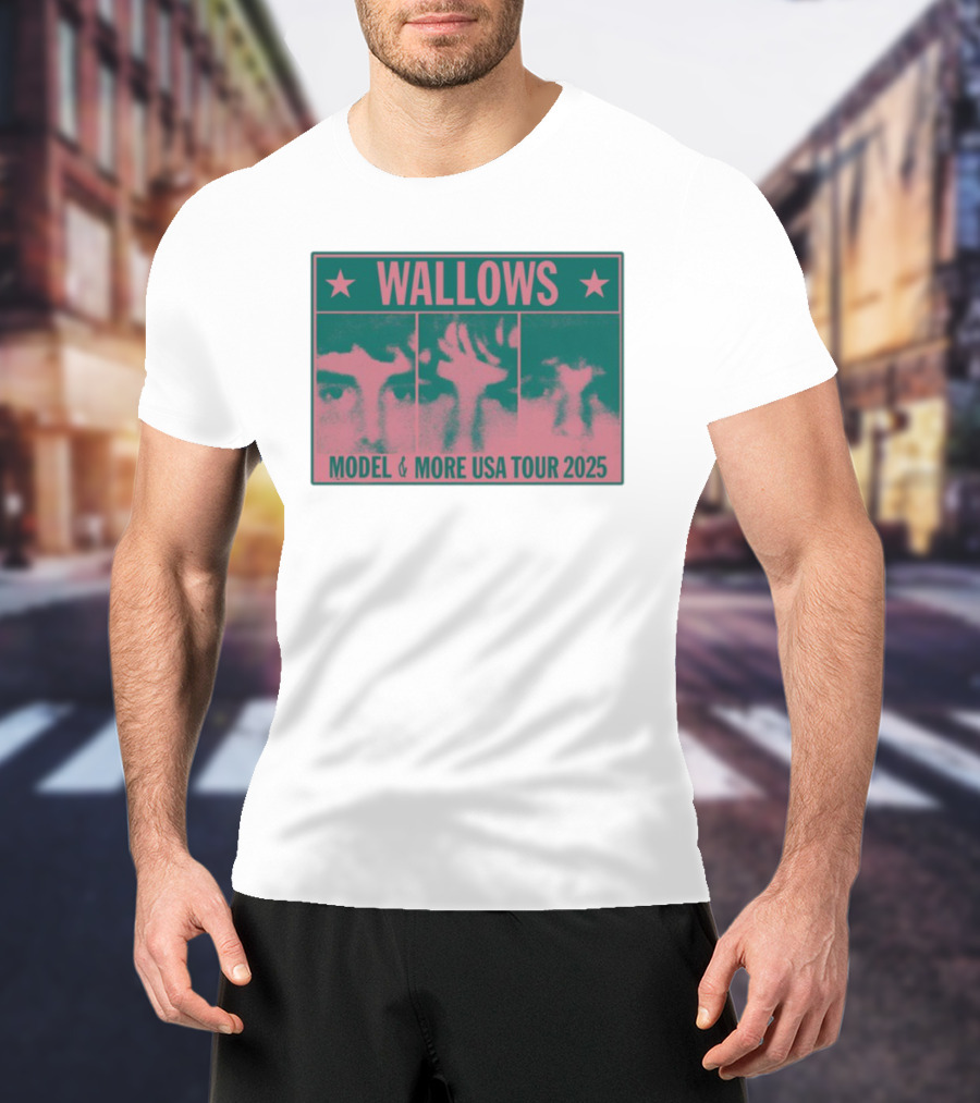Wallows Model & More USA Tour 2025 Colorblock Faces T-Shirt