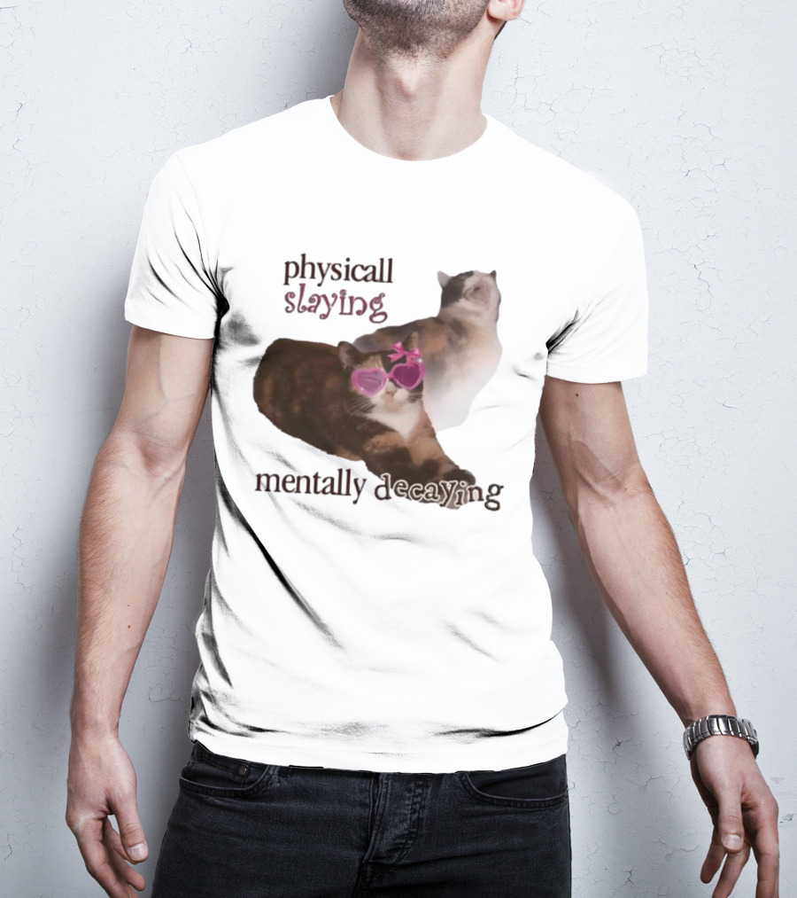 ```Snazzyseagull Physically Slaying Mentally Decaying Cat With Pink Heart Sunglasses``` T-Shirt