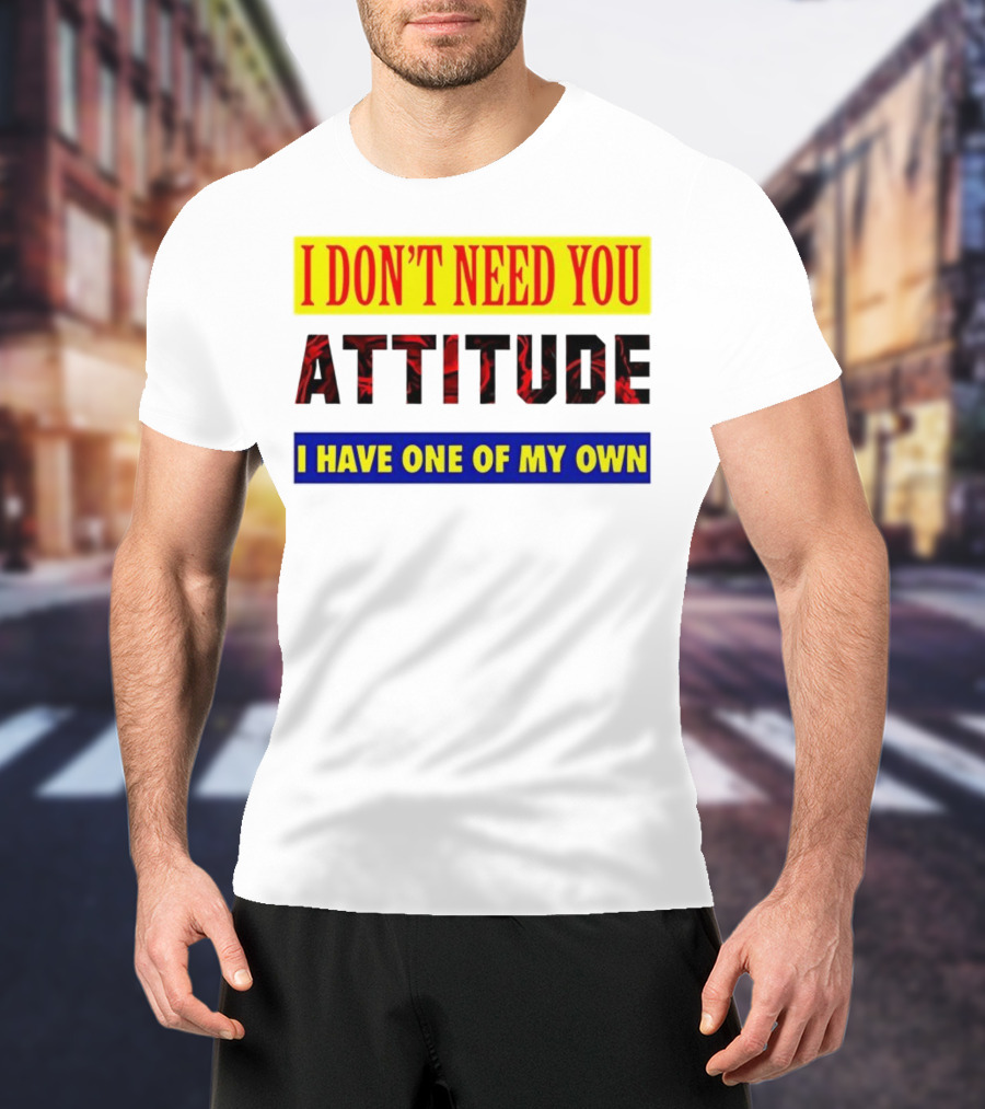 I Don't Need You Attitude I Have One Of My Own T-Shirt