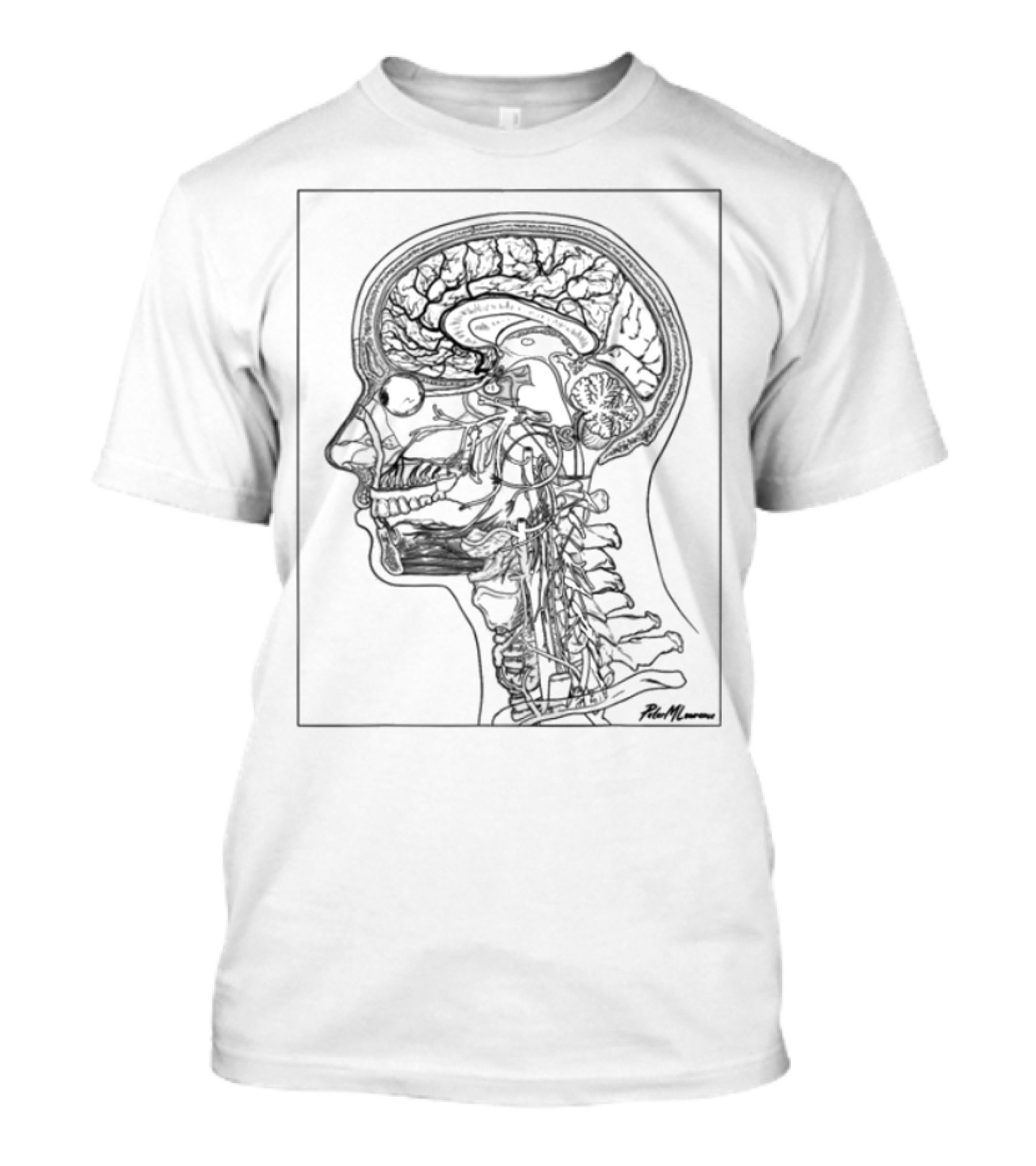 Petermlawrence Anatomical Head Neck Brain Structure T-Shirt