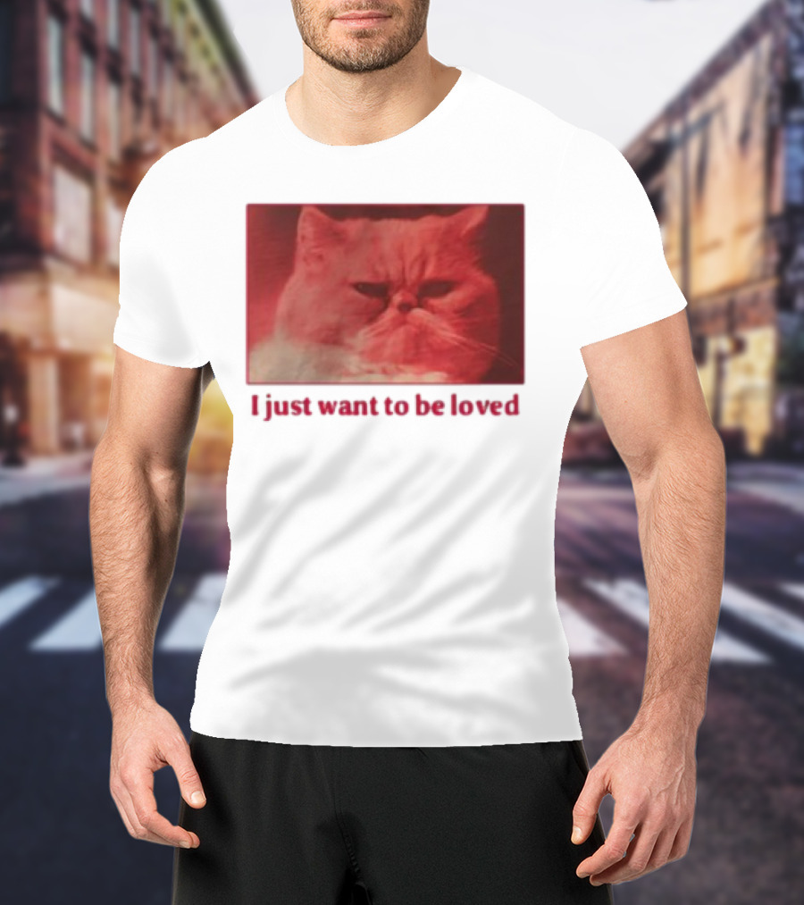 Volodymyr Testardі I Just Want To Be Loved Grumpy Cat Red Tones T-Shirt