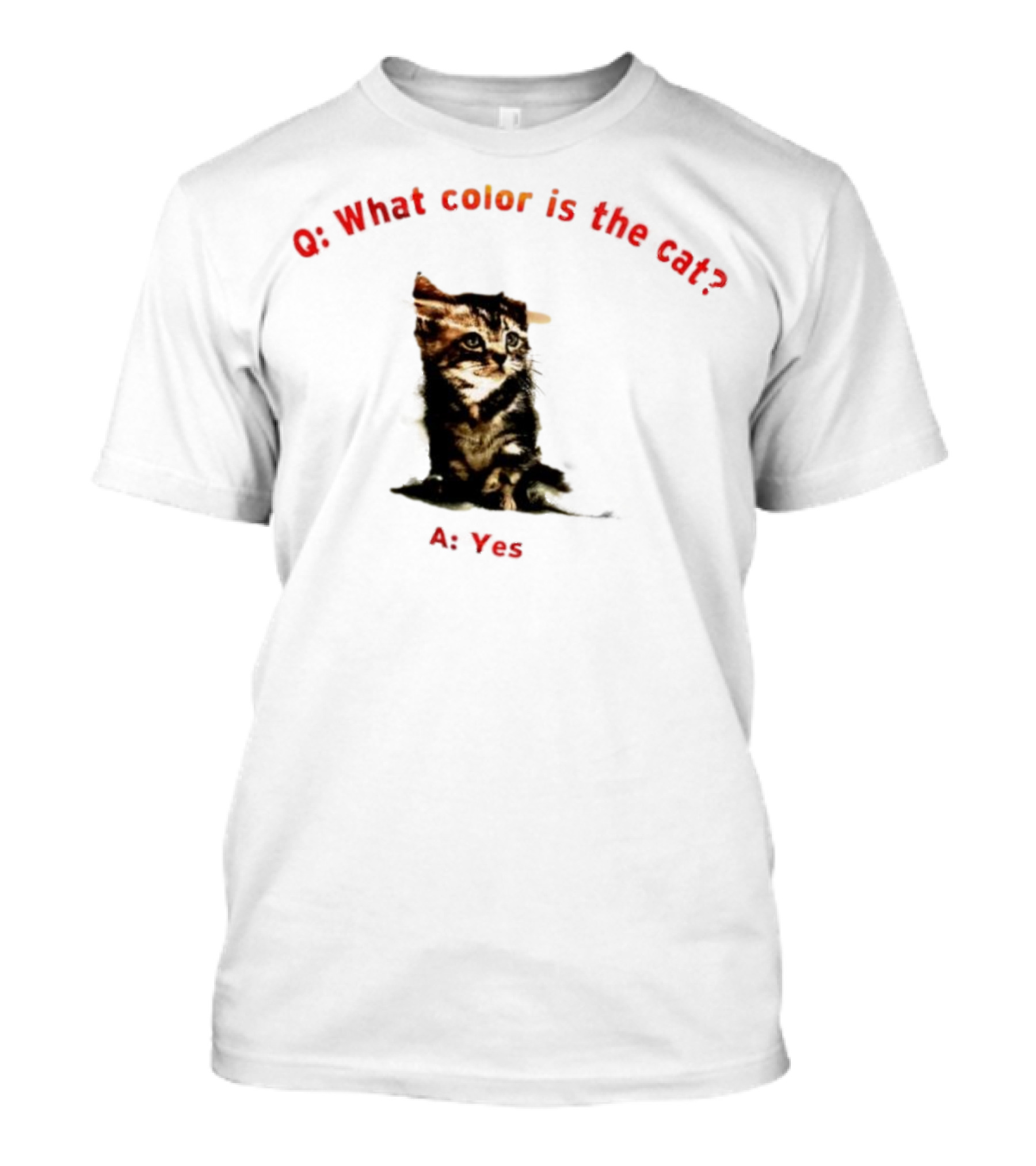 What Color Is The Cat Yes Kitten T-Shirt