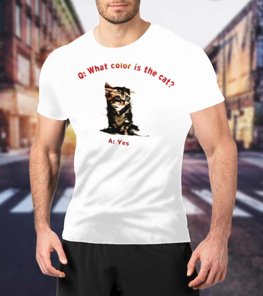 What Color Is The Cat Yes Kitten T-Shirt