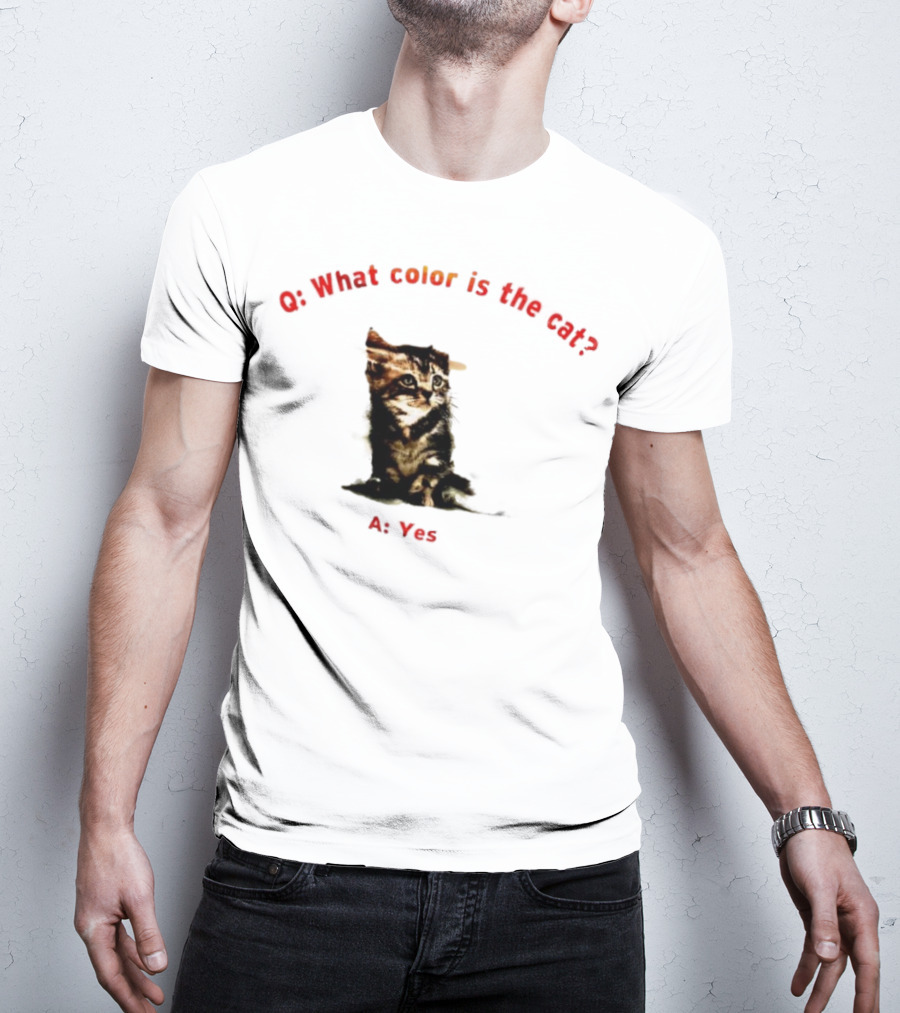 What Color Is The Cat Yes Kitten T-Shirt