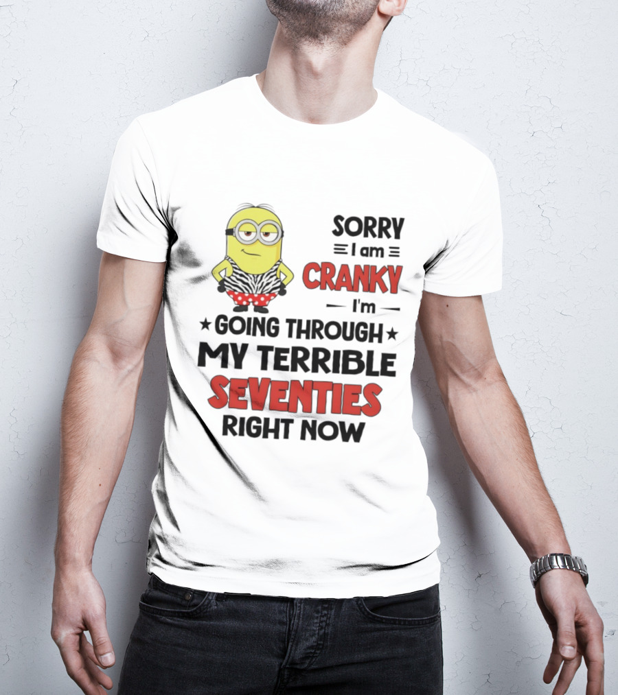 Sorry I Am Cranky Going Through My Terrible Seventies Minion T-Shirt