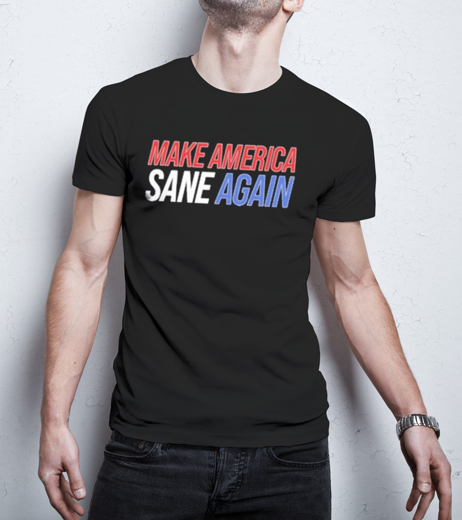 Duke Gomez Make America Sane Again Red White Blue Text T-Shirt