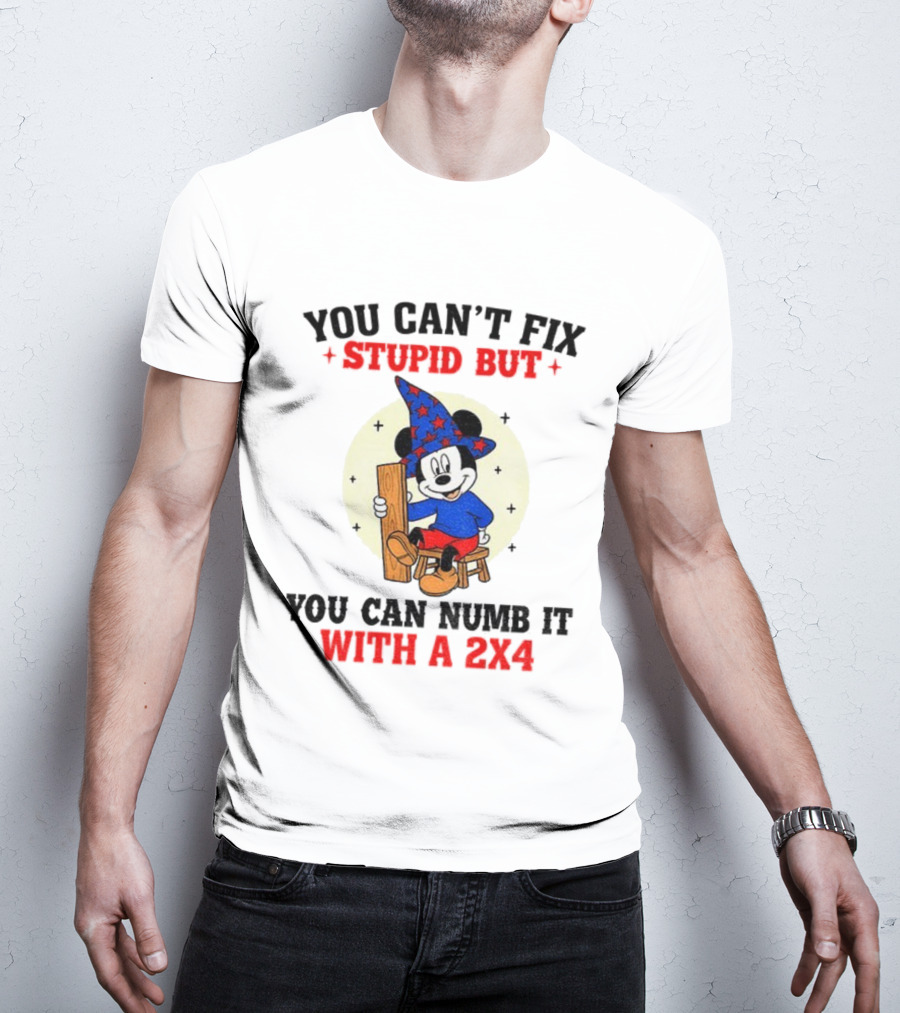 You Can't Fix Stupid But You Can Numb It With A 2x4 Mickey Witch T-Shirt