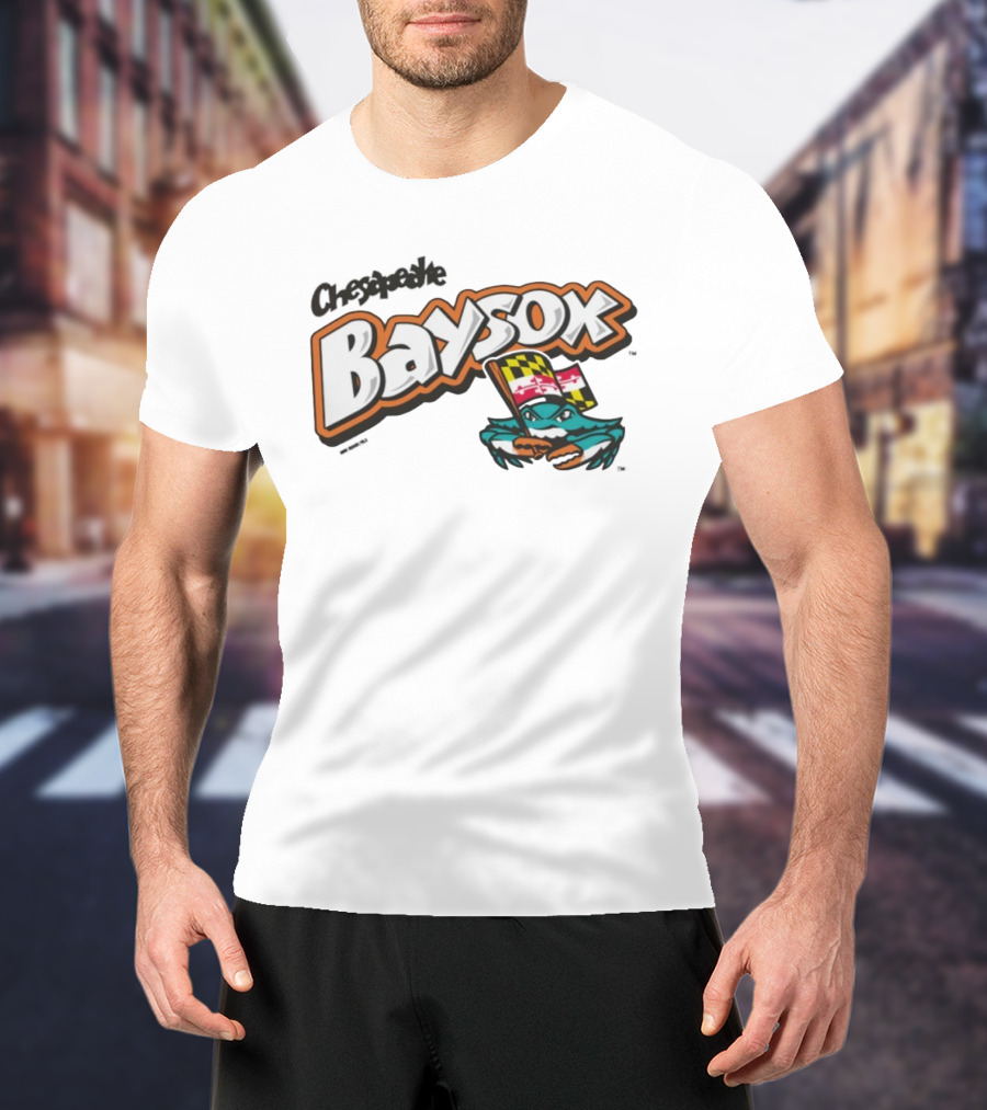 Chesapeake Baysox Toddler Barksdale Carolina Team Logo With Maryland Flag Crustacean T-Shirt
