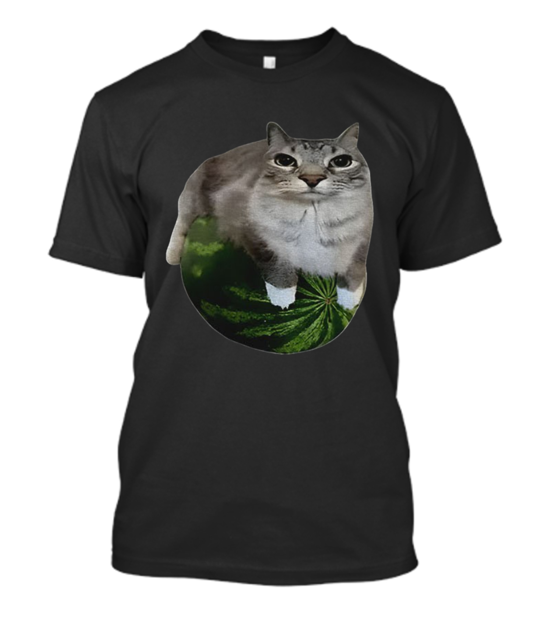 Watermelon Cat Meme Humor Collage T-Shirt