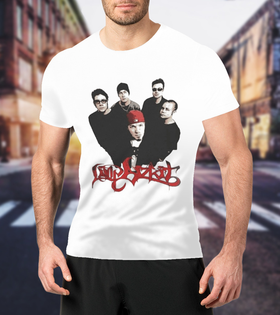 What Do You Guys Think Of My Limp Bizkit Band Members T-Shirt