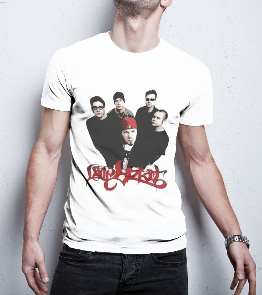 What Do You Guys Think Of My Limp Bizkit Band Members T-Shirt