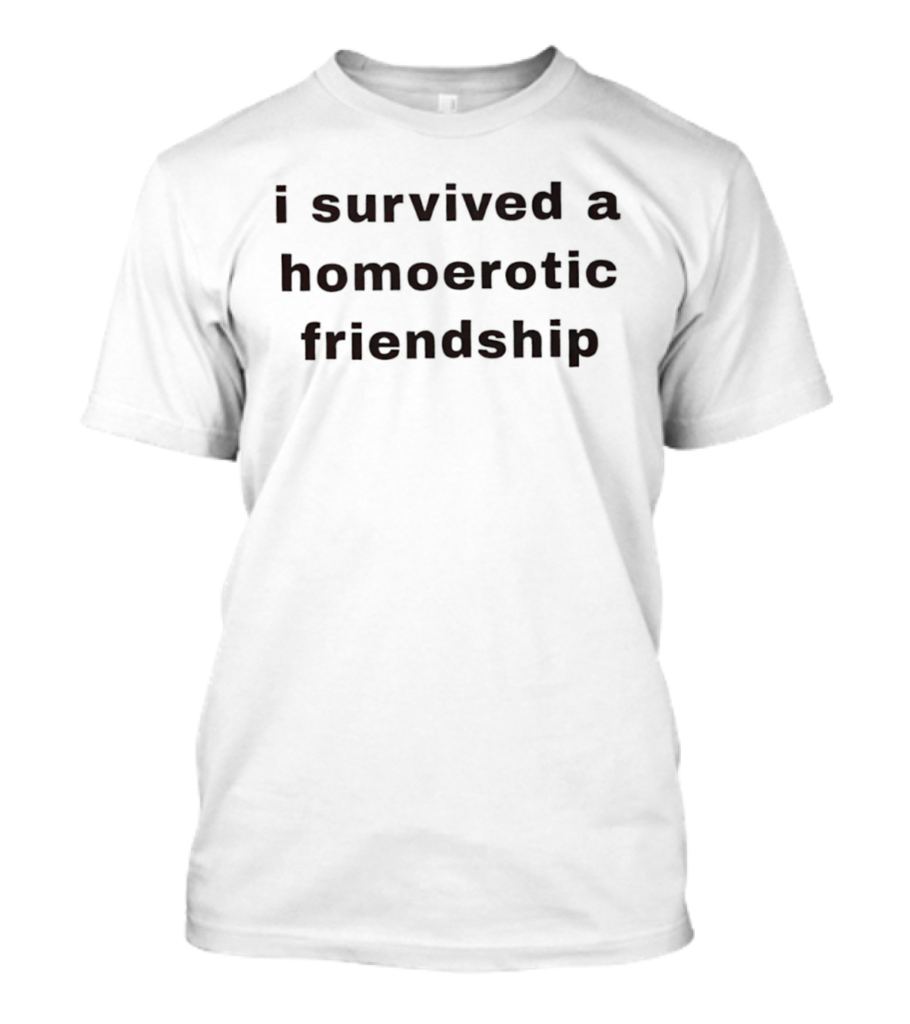 I Survived A Homoerotic Friendship Humor T-Shirt
