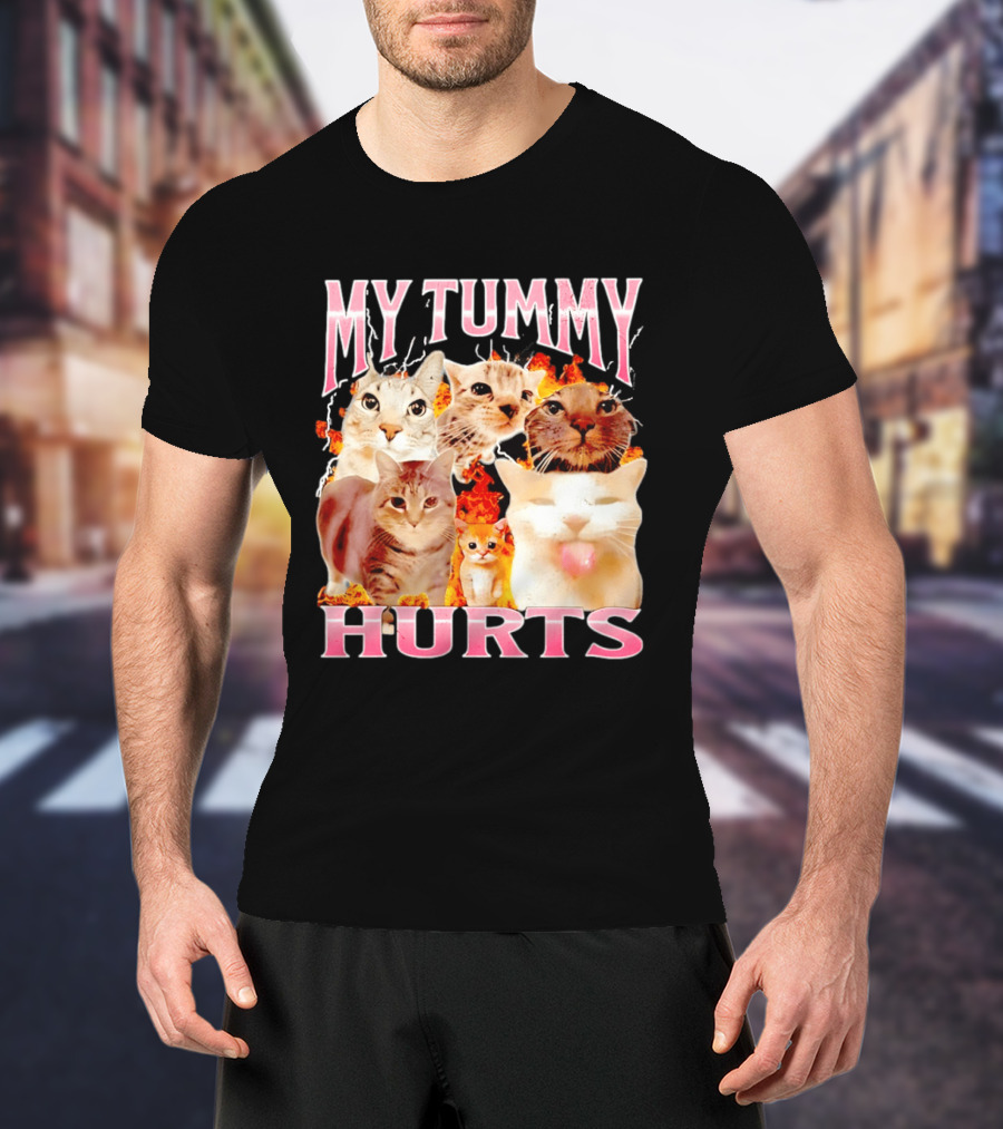 My Tummy Hurts Funny Cat Compilation T-Shirt