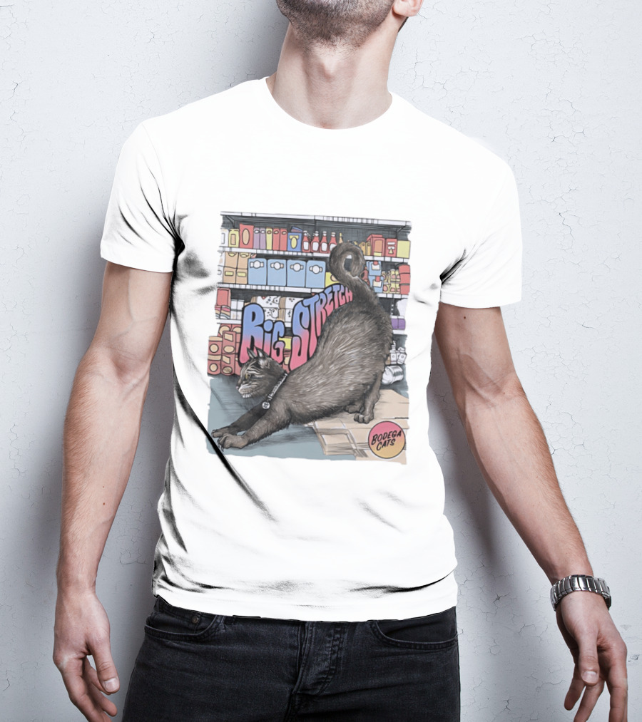 Big Stretch Bodega Cats Groceries Stack T-Shirt