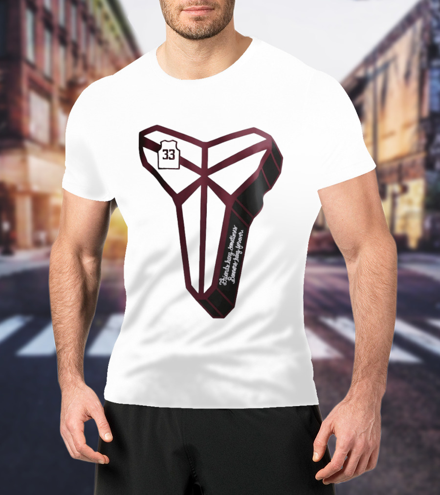 Kobe Bryant Friends Hang Sometimes Banners Hang Forever Number 33 T-Shirt