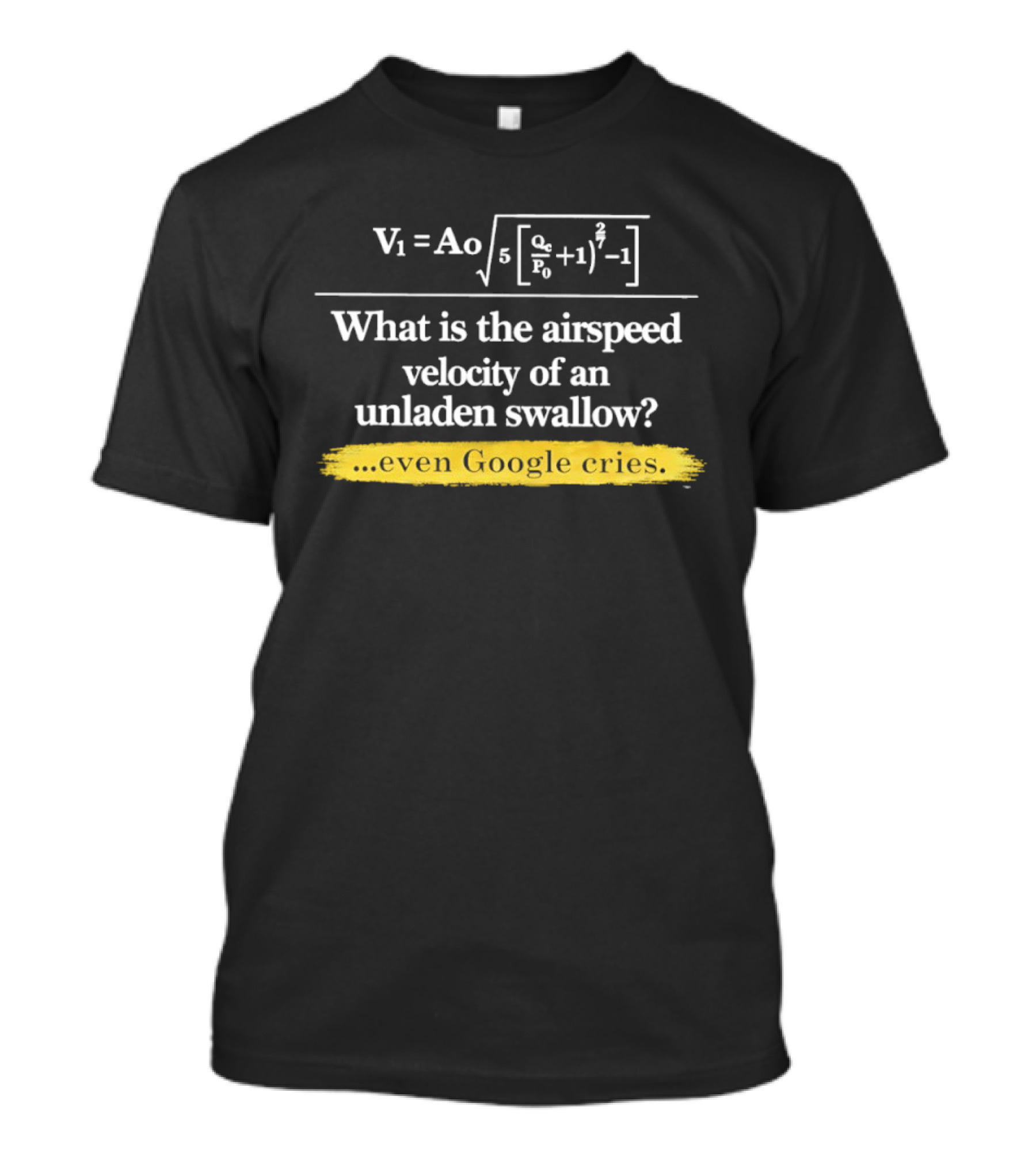 V1 Ao Formula What Is The Airspeed Velocity Of An Unladen Swallow Even Google Cries T-Shirt