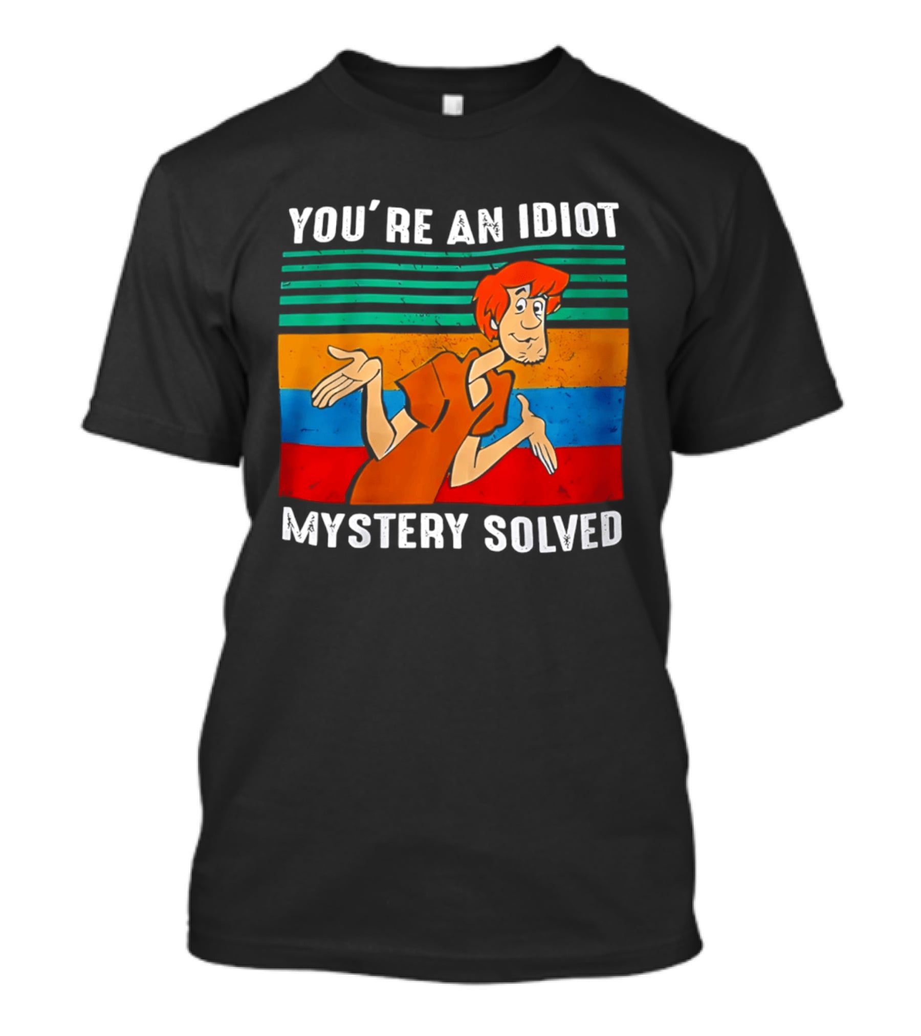 You're An Idiot Mystery Solved Shaggy T-Shirt