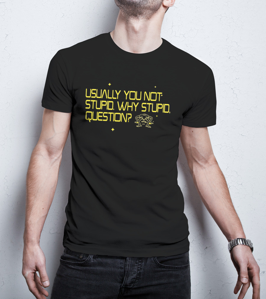 Usually You Not Stupid Why Stupid Question Project Hail Mary T-Shirt